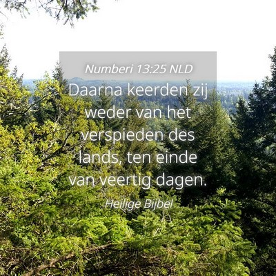 Picture 04 - Numberi 13:25 NLD - Daarna keerden zij weder van het verspieden des - Bible Verse Picture
