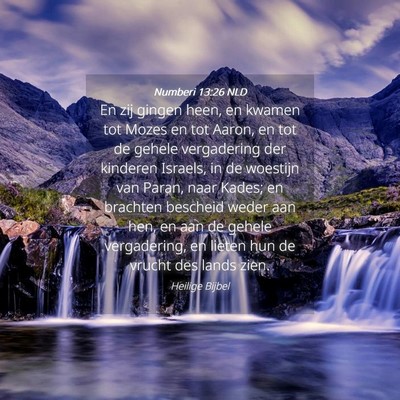 Picture 04 - Numberi 13:26 NLD - En zij gingen heen, en kwamen tot Mozes en tot - Bible Verse Picture