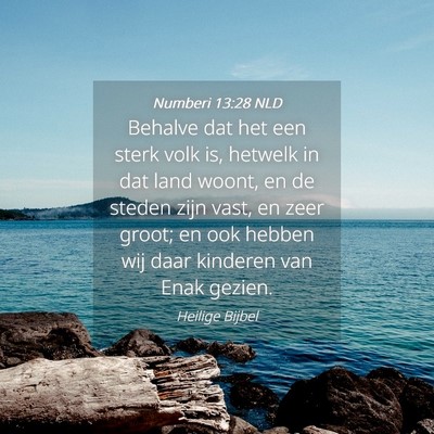 Picture 04 - Numberi 13:28 NLD - Behalve dat het een sterk volk is, hetwelk in dat - Bible Verse Picture