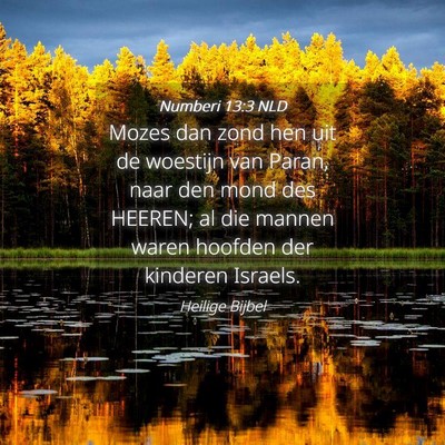 Picture 04 - Numberi 13:3 NLD - Mozes dan zond hen uit de woestijn van Paran, - Bible Verse Picture