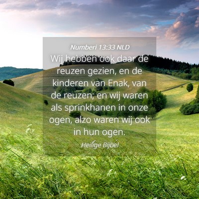Picture 04 - Numberi 13:33 NLD - Wij hebben ook daar de reuzen gezien, en de - Bible Verse Picture