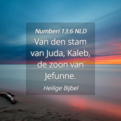 Picture 04 - Numberi 13:6 NLD - Van den stam van Juda, Kaleb, de zoon van - Bible Verse Picture