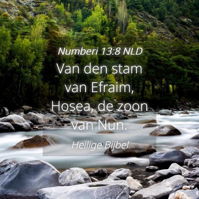 Picture 04 - Numberi 13:8 NLD - Van den stam van Efraim, Hosea, de zoon van - Bible Verse Picture