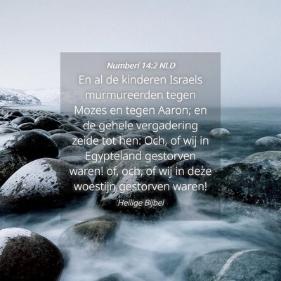 Picture 04 - Numberi 14:2 NLD - En al de kinderen Israels murmureerden tegen - Bible Verse Picture