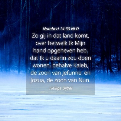 Picture 04 - Numberi 14:30 NLD - Zo gij in dat land komt, over hetwelk Ik Mijn - Bible Verse Picture