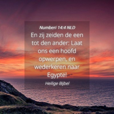 Picture 04 - Numberi 14:4 NLD - En zij zeiden de een tot den ander: Laat ons een - Bible Verse Picture