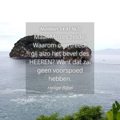 Picture 04 - Numberi 14:41 NLD - Maar Mozes zeide: Waarom overtreedt gij alzo het - Bible Verse Picture