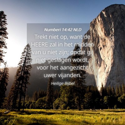 Picture 04 - Numberi 14:42 NLD - Trekt niet op, want de HEERE zal in het midden - Bible Verse Picture