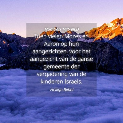 Picture 04 - Numberi 14:5 NLD - Toen vielen Mozes en Aaron op hun aangezichten, - Bible Verse Picture