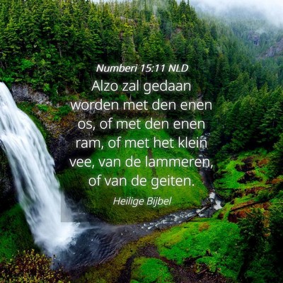 Picture 04 - Numberi 15:11 NLD - Alzo zal gedaan worden met den enen os, of met - Bible Verse Picture