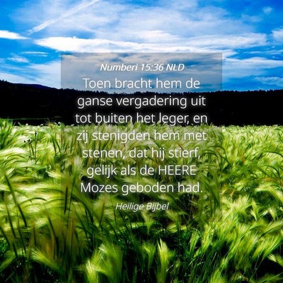 Picture 04 - Numberi 15:36 NLD - Toen bracht hem de ganse vergadering uit tot - Bible Verse Picture
