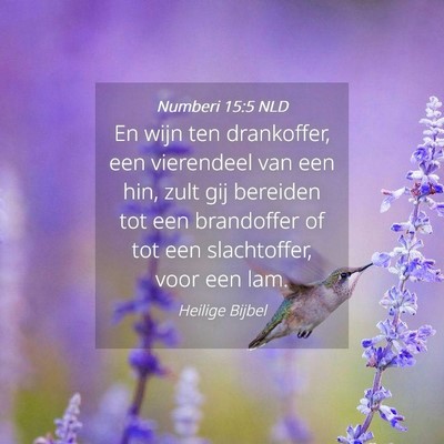 Picture 04 - Numberi 15:5 NLD - En wijn ten drankoffer, een vierendeel van een - Bible Verse Picture