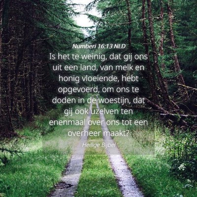Picture 04 - Numberi 16:13 NLD - Is het te weinig, dat gij ons uit een land, van - Bible Verse Picture