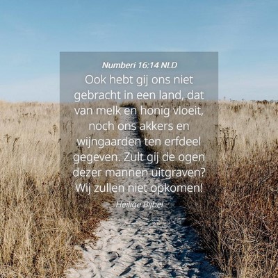 Picture 04 - Numberi 16:14 NLD - Ook hebt gij ons niet gebracht in een land, dat - Bible Verse Picture