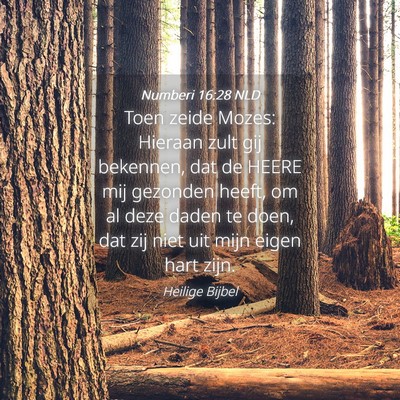Picture 04 - Numberi 16:28 NLD - Toen zeide Mozes: Hieraan zult gij bekennen, dat - Bible Verse Picture