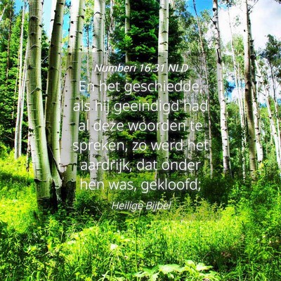 Picture 04 - Numberi 16:31 NLD - En het geschiedde, als hij geeindigd had al deze - Bible Verse Picture