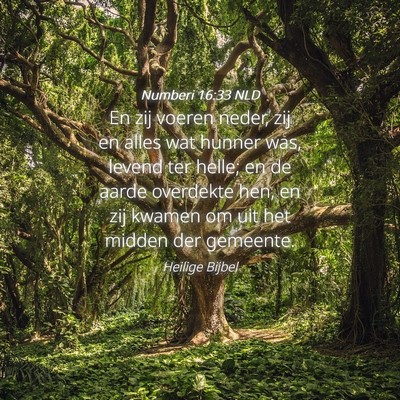 Picture 04 - Numberi 16:33 NLD - En zij voeren neder, zij en alles wat hunner was, - Bible Verse Picture