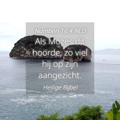 Picture 04 - Numberi 16:4 NLD - Als Mozes dit hoorde, zo viel hij op zijn - Bible Verse Picture