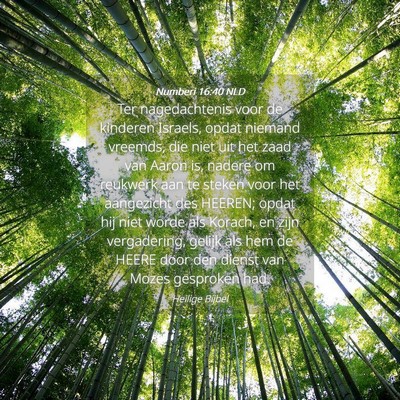 Picture 04 - Numberi 16:40 NLD - Ter nagedachtenis voor de kinderen Israels, opdat - Bible Verse Picture