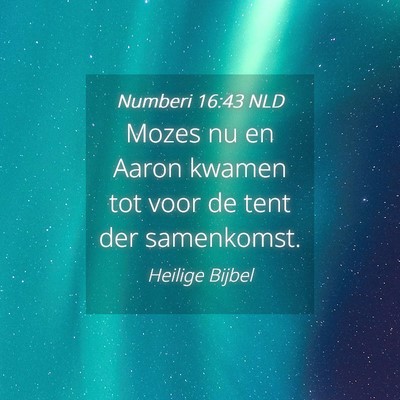 Picture 04 - Numberi 16:43 NLD - Mozes nu en Aaron kwamen tot voor de tent der - Bible Verse Picture