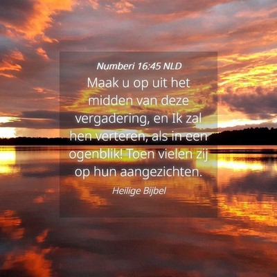 Picture 04 - Numberi 16:45 NLD - Maak u op uit het midden van deze vergadering, en - Bible Verse Picture