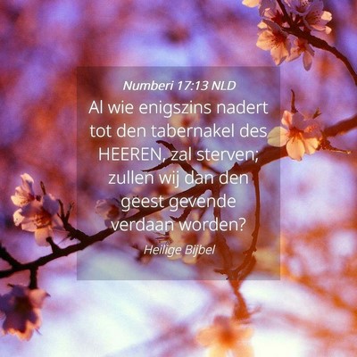 Picture 04 - Numberi 17:13 NLD - Al wie enigszins nadert tot den tabernakel des - Bible Verse Picture