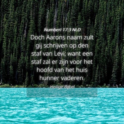 Picture 04 - Numberi 17:3 NLD - Doch Aarons naam zult gij schrijven op den staf - Bible Verse Picture
