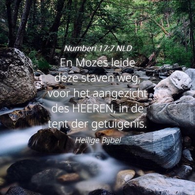 Picture 04 - Numberi 17:7 NLD - En Mozes leide deze staven weg, voor het - Bible Verse Picture