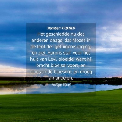 Picture 04 - Numberi 17:8 NLD - Het geschiedde nu des anderen daags, dat Mozes in - Bible Verse Picture