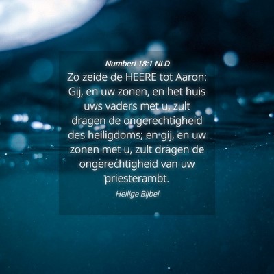 Picture 04 - Numberi 18:1 NLD - Zo zeide de HEERE tot Aaron: Gij, en uw zonen, en - Bible Verse Picture