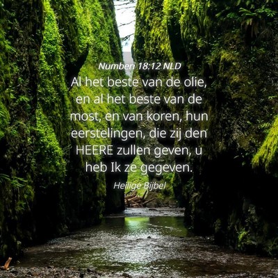 Picture 04 - Numberi 18:12 NLD - Al het beste van de olie, en al het beste van de - Bible Verse Picture