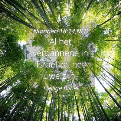 Picture 04 - Numberi 18:14 NLD - Al het verbannene in Israel zal het uwe - Bible Verse Picture
