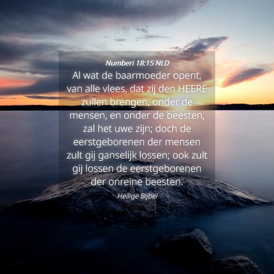 Picture 04 - Numberi 18:15 NLD - Al wat de baarmoeder opent, van alle vlees, dat - Bible Verse Picture