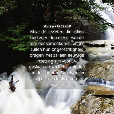 Picture 04 - Numberi 18:23 NLD - Maar de Levieten, die zullen bedienen den dienst - Bible Verse Picture