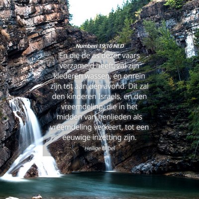 Picture 04 - Numberi 19:10 NLD - En die de as dezer vaars verzameld heeft, zal - Bible Verse Picture
