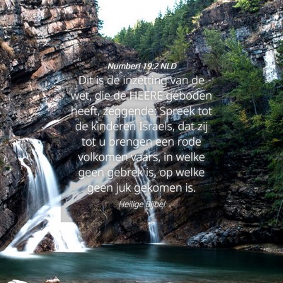 Picture 04 - Numberi 19:2 NLD - Dit is de inzetting van de wet, die de HEERE - Bible Verse Picture