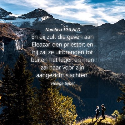 Picture 04 - Numberi 19:3 NLD - En gij zult die geven aan Eleazar, den priester; - Bible Verse Picture