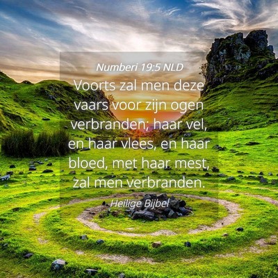 Picture 04 - Numberi 19:5 NLD - Voorts zal men deze vaars voor zijn ogen - Bible Verse Picture