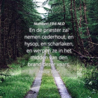 Picture 04 - Numberi 19:6 NLD - En de priester zal nemen cederhout, en hysop, en - Bible Verse Picture