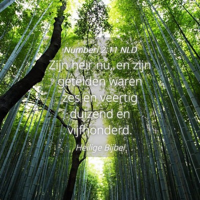 Picture 04 - Numberi 2:11 NLD - Zijn heir nu, en zijn getelden waren zes en - Bible Verse Picture