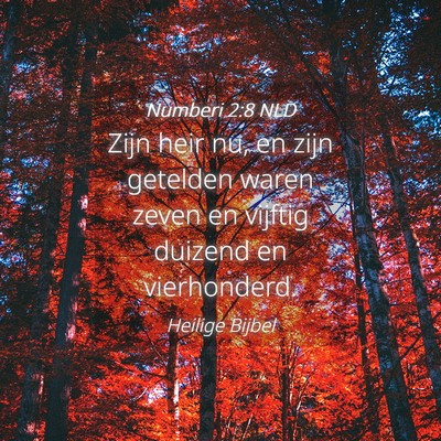Picture 04 - Numberi 2:8 NLD - Zijn heir nu, en zijn getelden waren zeven en - Bible Verse Picture