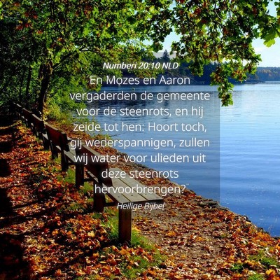 Picture 04 - Numberi 20:10 NLD - En Mozes en Aaron vergaderden de gemeente voor de - Bible Verse Picture
