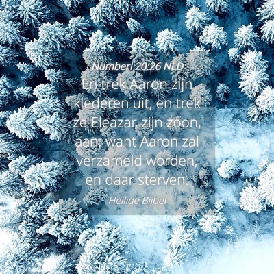 Picture 04 - Numberi 20:26 NLD - En trek Aaron zijn klederen uit, en trek ze - Bible Verse Picture