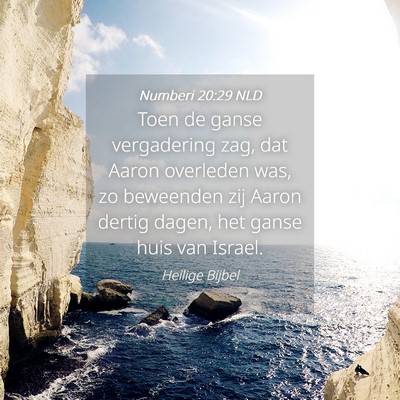 Picture 04 - Numberi 20:29 NLD - Toen de ganse vergadering zag, dat Aaron - Bible Verse Picture