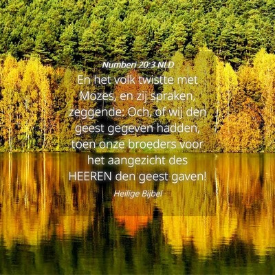 Picture 04 - Numberi 20:3 NLD - En het volk twistte met Mozes, en zij spraken, - Bible Verse Picture