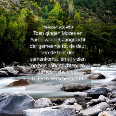 Picture 04 - Numberi 20:6 NLD - Toen gingen Mozes en Aaron van het aangezicht der - Bible Verse Picture