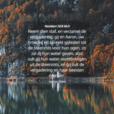 Picture 04 - Numberi 20:8 NLD - Neem dien staf, en verzamel de vergadering, gij - Bible Verse Picture