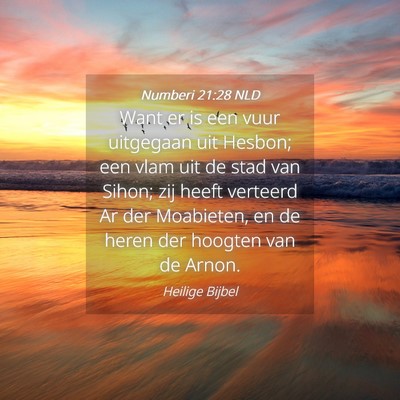 Picture 04 - Numberi 21:28 NLD - Want er is een vuur uitgegaan uit Hesbon; een - Bible Verse Picture