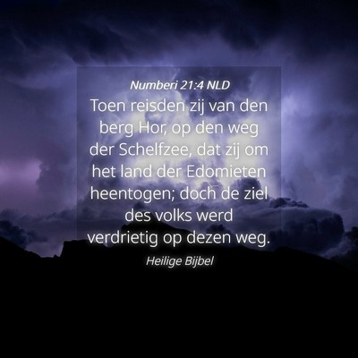 Picture 04 - Numberi 21:4 NLD - Toen reisden zij van den berg Hor, op den weg der - Bible Verse Picture
