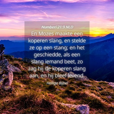 Picture 04 - Numberi 21:9 NLD - En Mozes maakte een koperen slang, en stelde ze - Bible Verse Picture